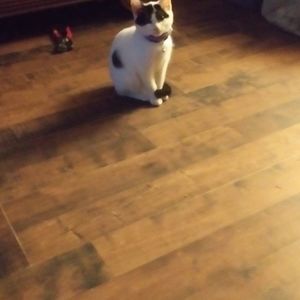 Meet your Posher, Charles